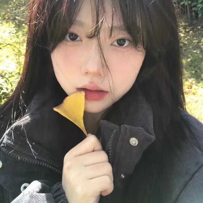 梦游夏威夷