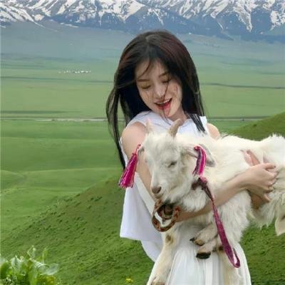 全美缉凶:本·拉登